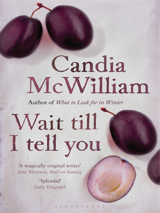 Title details for Wait Till I Tell You by Candia McWilliam - Available